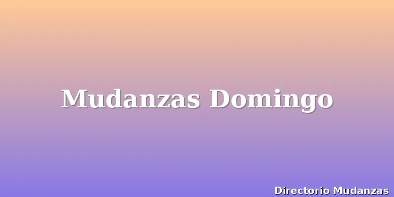 Mudanzas Domingo