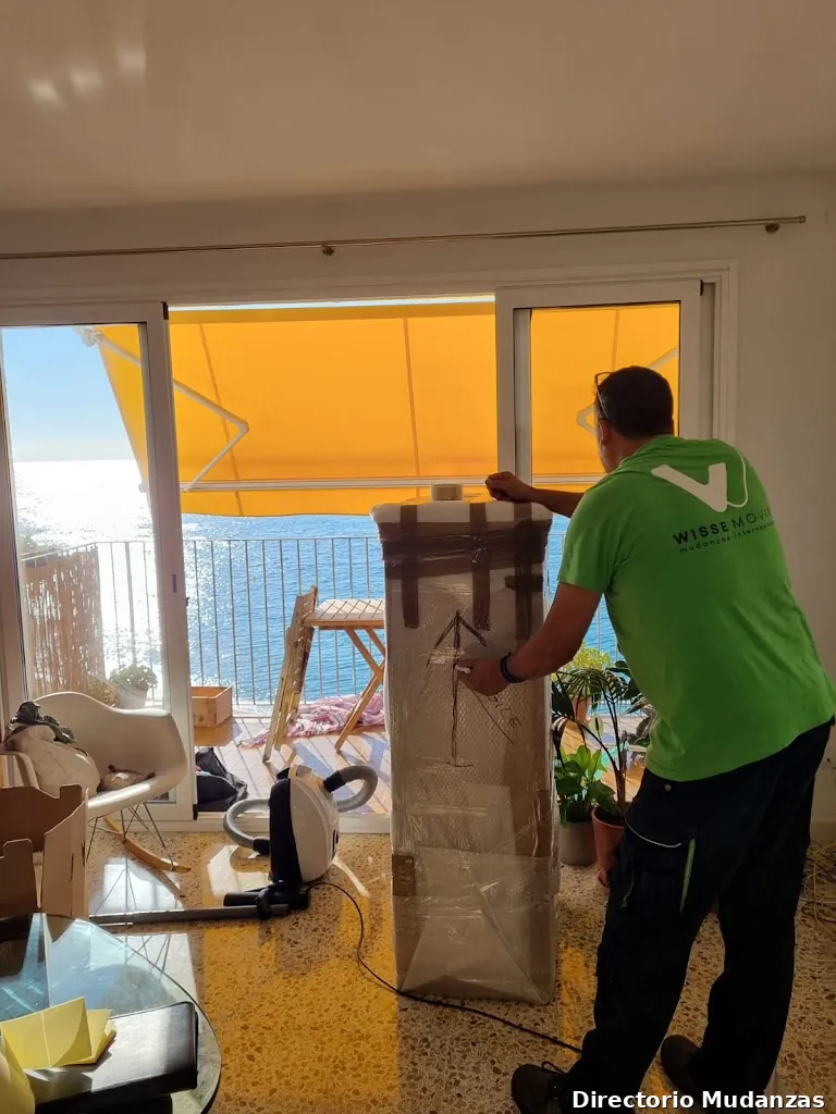 Wisse Moving - International Moving Specialists