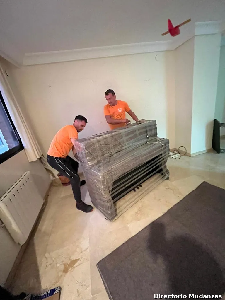 Mudanzas en Guadalajara y Guardamuebles La Seda