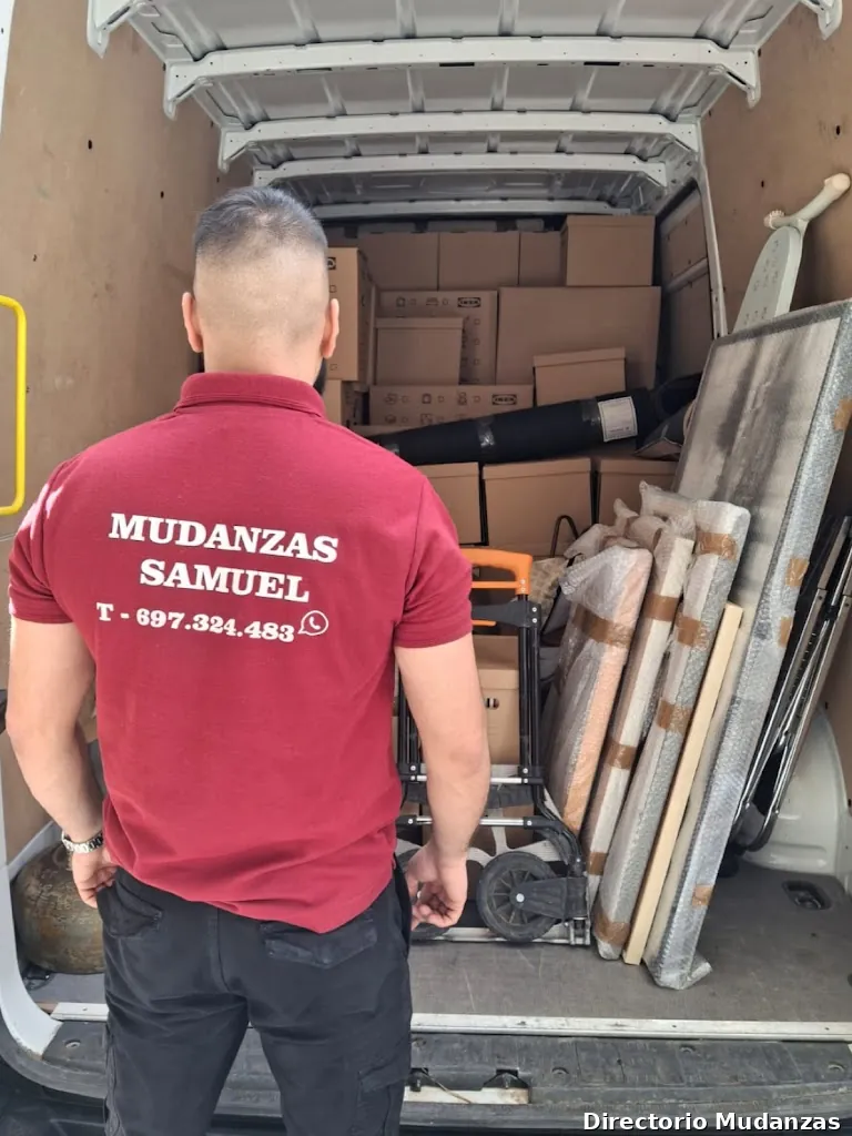 Mudanzas Samuel