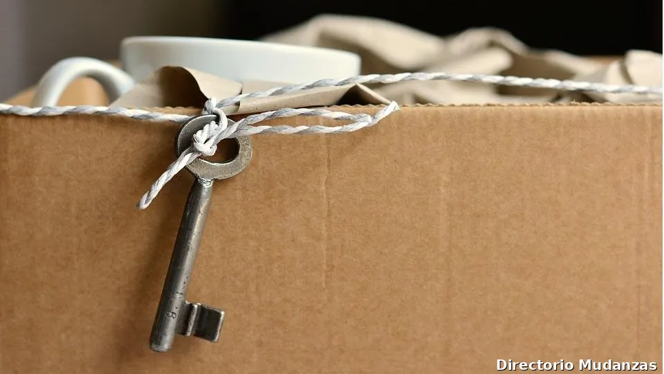 Mudanzas Y Vaciados David