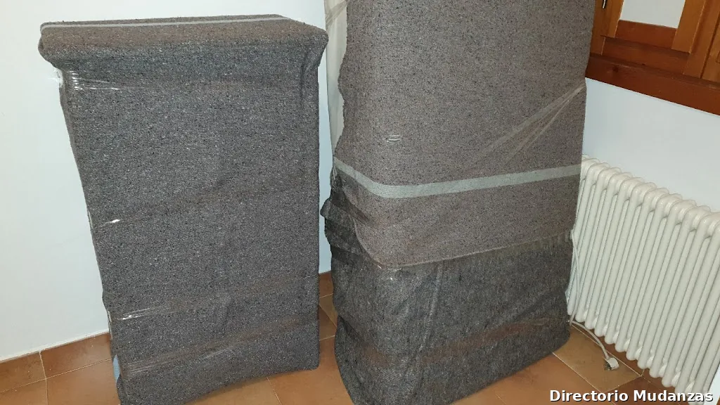 MUDANZAS ECONOMICAS MADRID