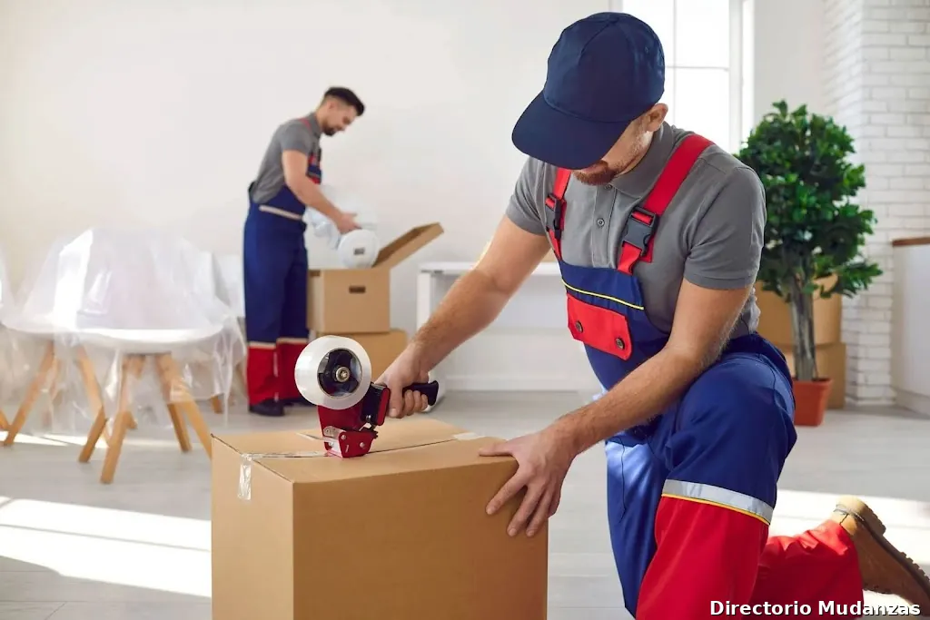 Puntualisimo - Mudanzas y transportes Nacionales e Internacionales