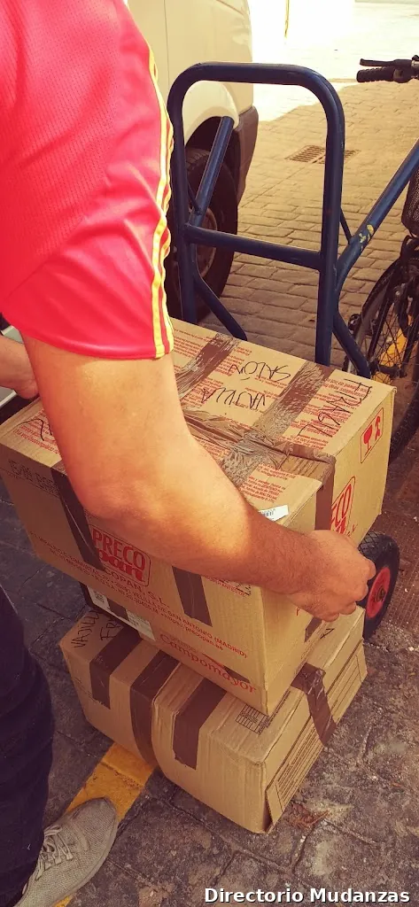 Recogida de muebles y Portes Económicos Torregala