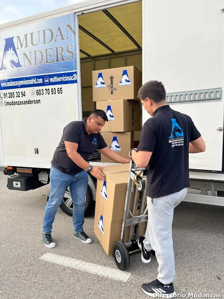 Transportes Y Mudanzas Anderson