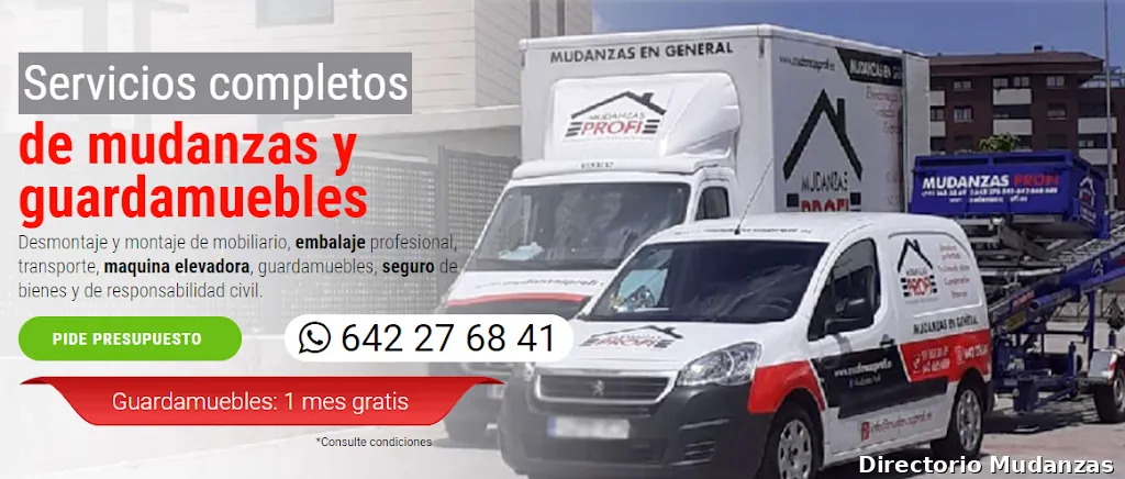 Profi Mudanzas