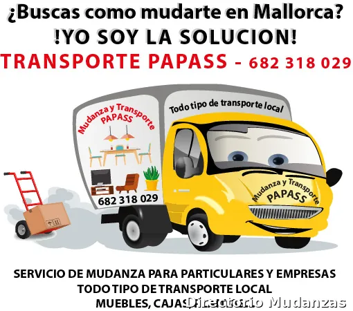TRANSPORTE Y MUDANZA PAPASS