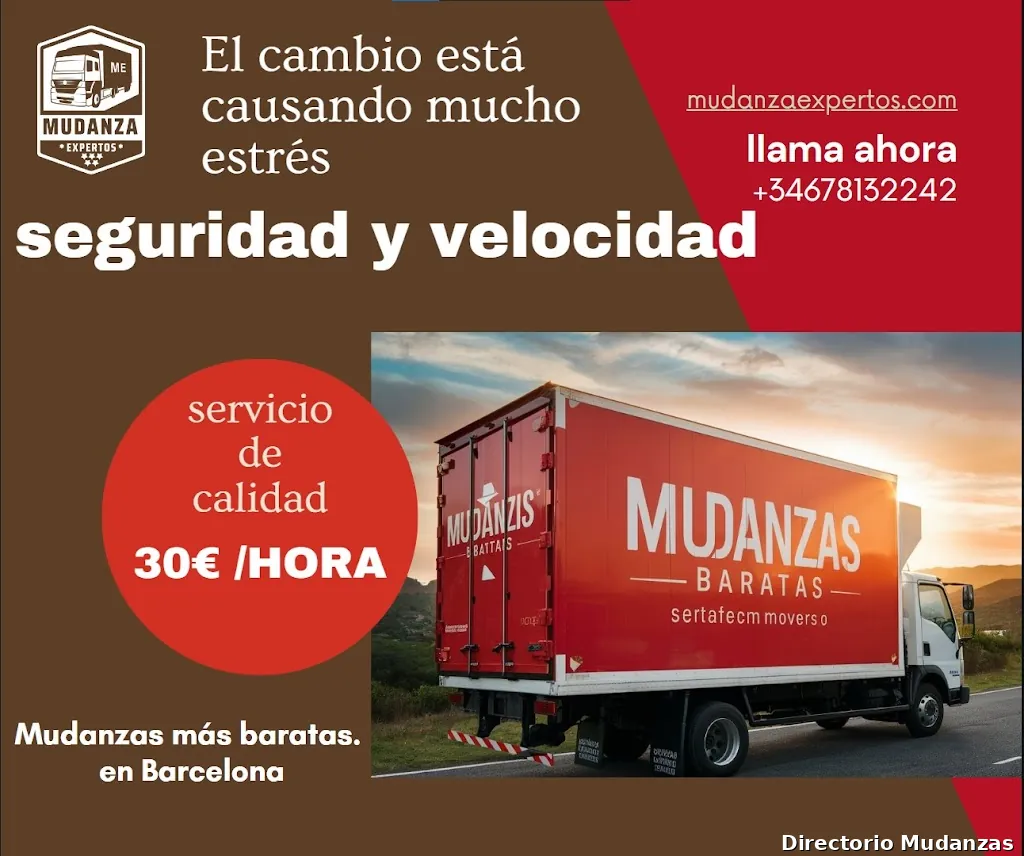 Mudanzas Expertos