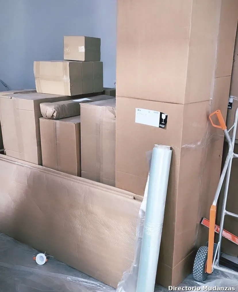 Sotomove Mudanzas Estepona