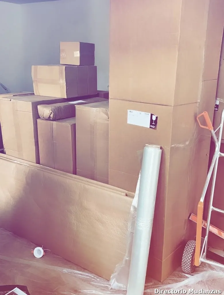 Sotomove Mudanzas Marbella