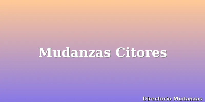 Mudanzas Citores
