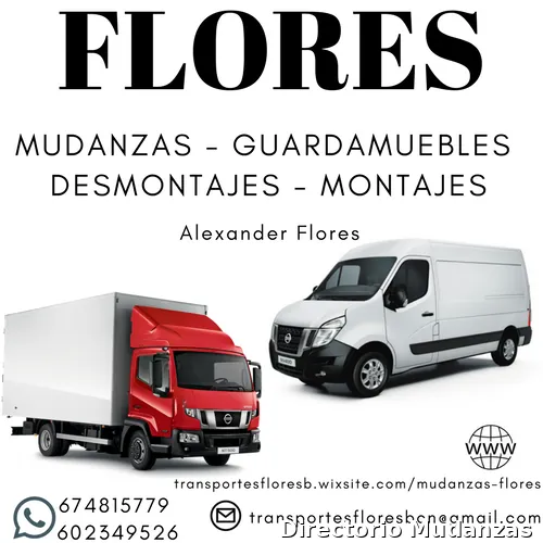 Mudanzas Internacionales Moving Flores