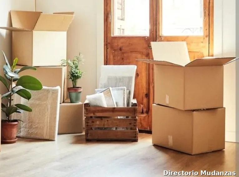 Mudanzas Y Transportes Hcs