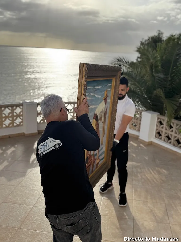 Transportale Mudanzas y Transporte