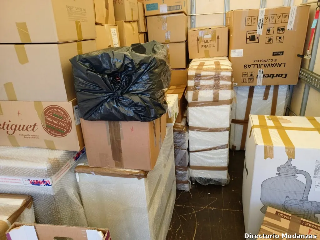 Mudanzas Express 365