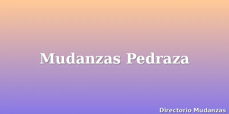 Mudanzas Pedraza
