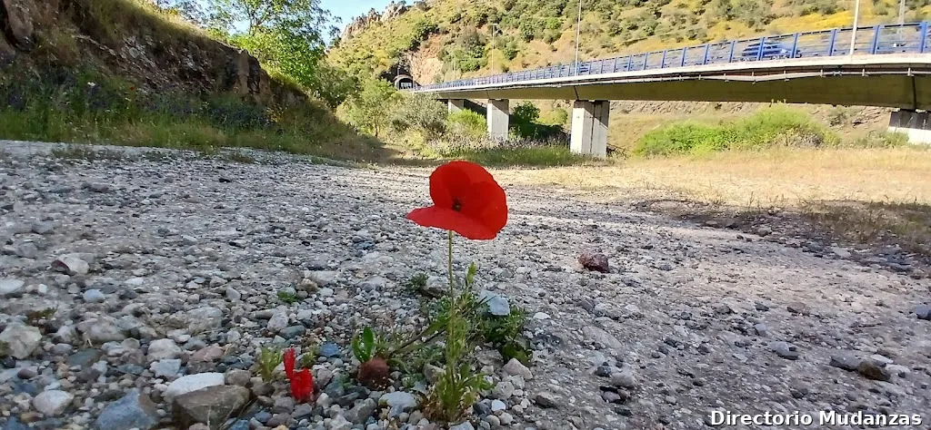 Tu mundo sobre ruedas