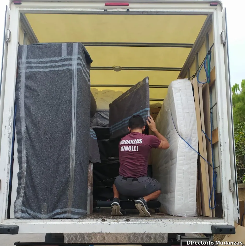 Mudanzas Minolli